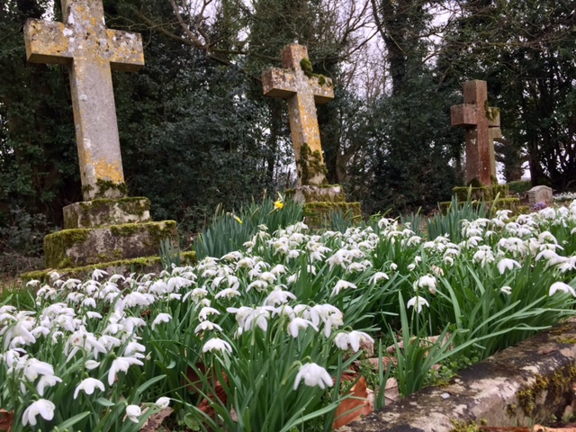 graves and snowdrops