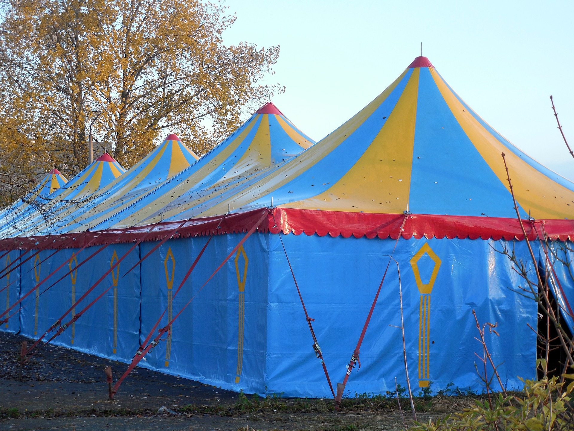 tent with poles